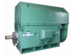 龙安Y系列6KV高压电机